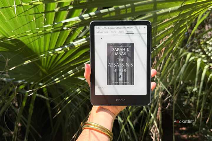 A Kindle Paperwhite in a palm forest. 