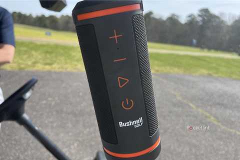 bushnell wingman buttons