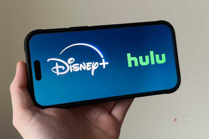 Disney Plus and Hulu on iPhone.
