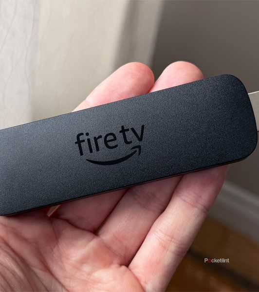 Person holding Fire Stick.