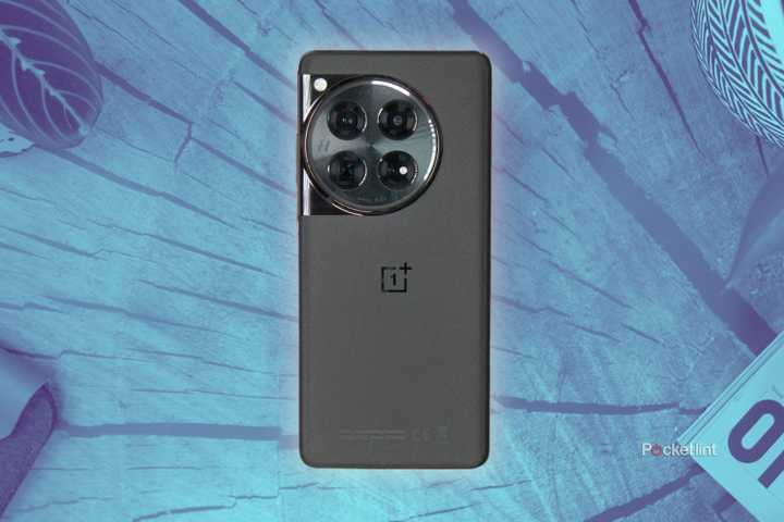 OnePlus 12 against a blue tree stump