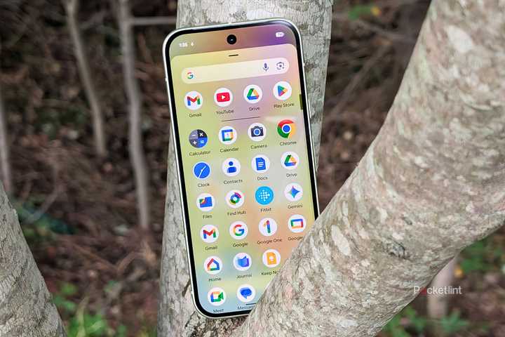 Google Pixel beauty 1