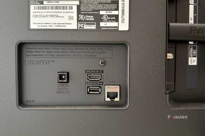 HDMI port on Kelsey's TV. 