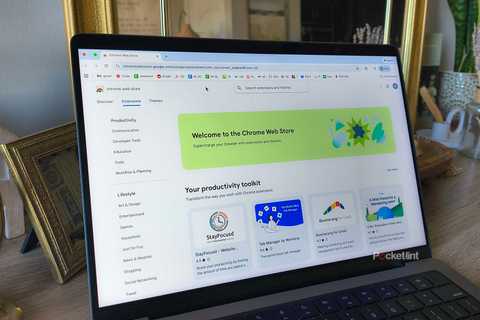 The Chrome Web Store on browser. 