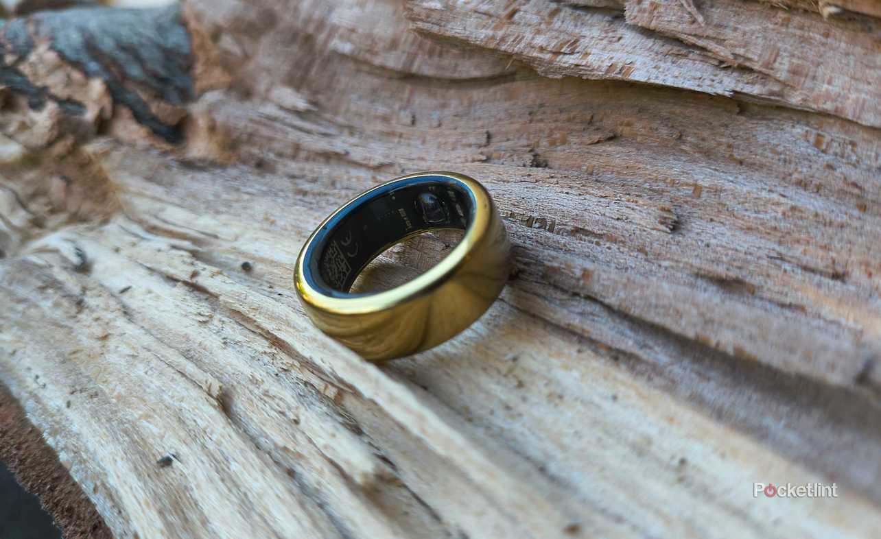 An Oura Ring 3 on a log. 