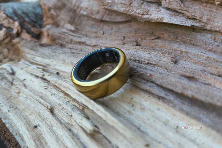 An Oura Ring 3 on a log. 