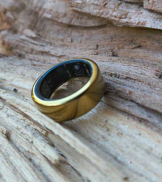 An Oura Ring 3 on a log. 