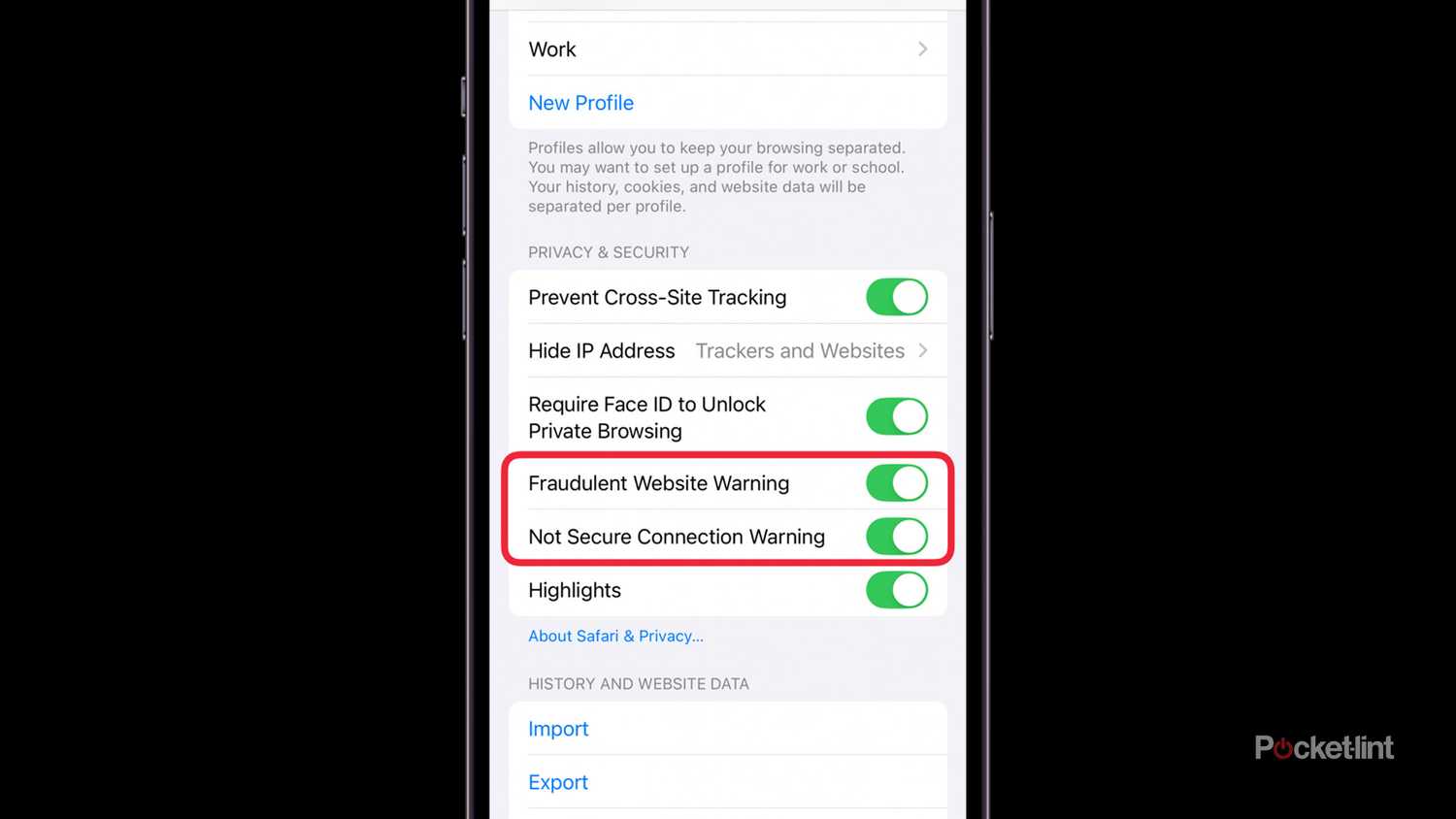 Anti-phishing options in Safari for iOS 18.