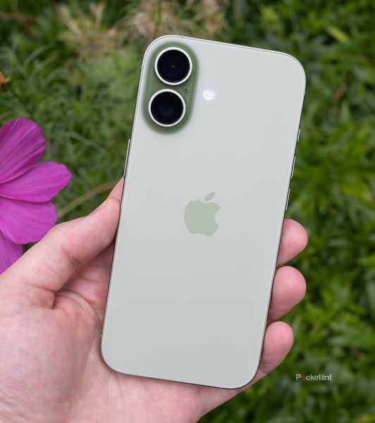 The back of the sage iPhone 17 