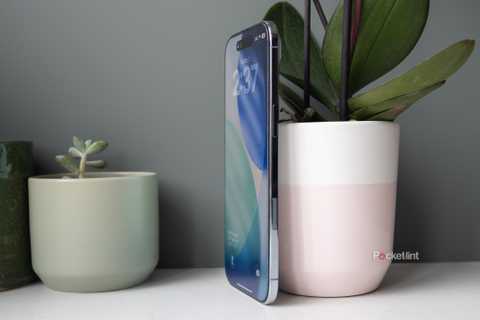 The iPhone Air sitting against a plant