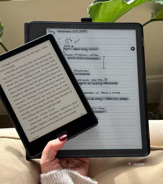 A Paperwhite and Kindle Scribe. 