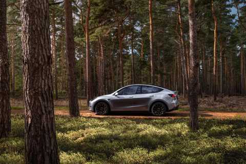 A silver Model Y drives through a redwood forest