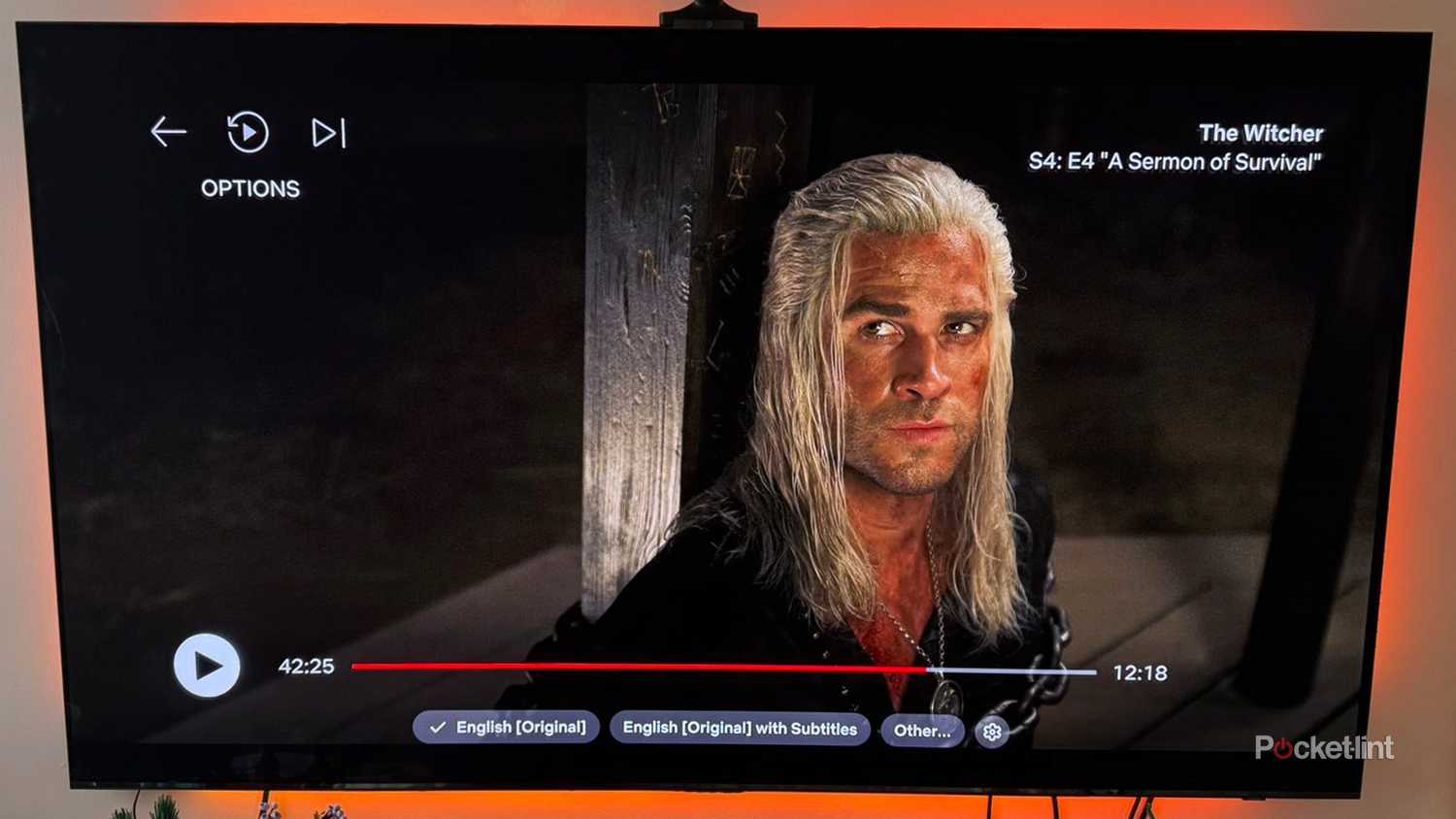 Pause menu on Netflix featuring The Witcher