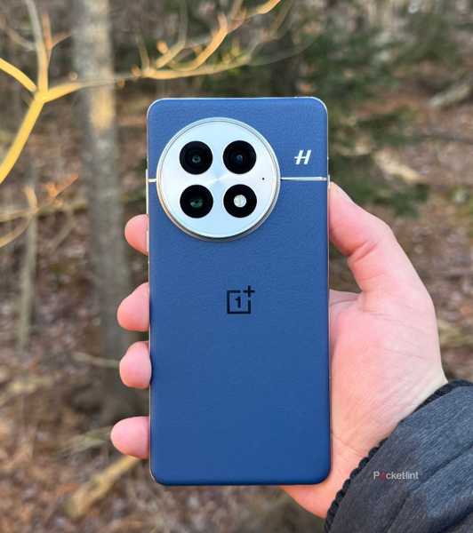 A person holding the OnePlus 13 against a wooded area. 