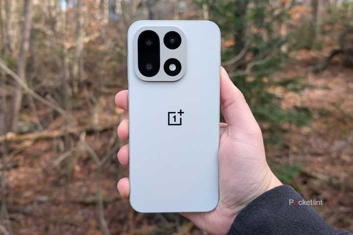 A OnePlus 15 in the woods.