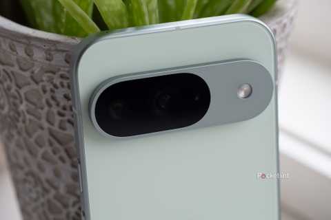 Google's Pixel 9 Pro in wintergreen.