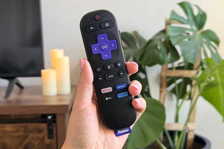 Person holding Roku remote.