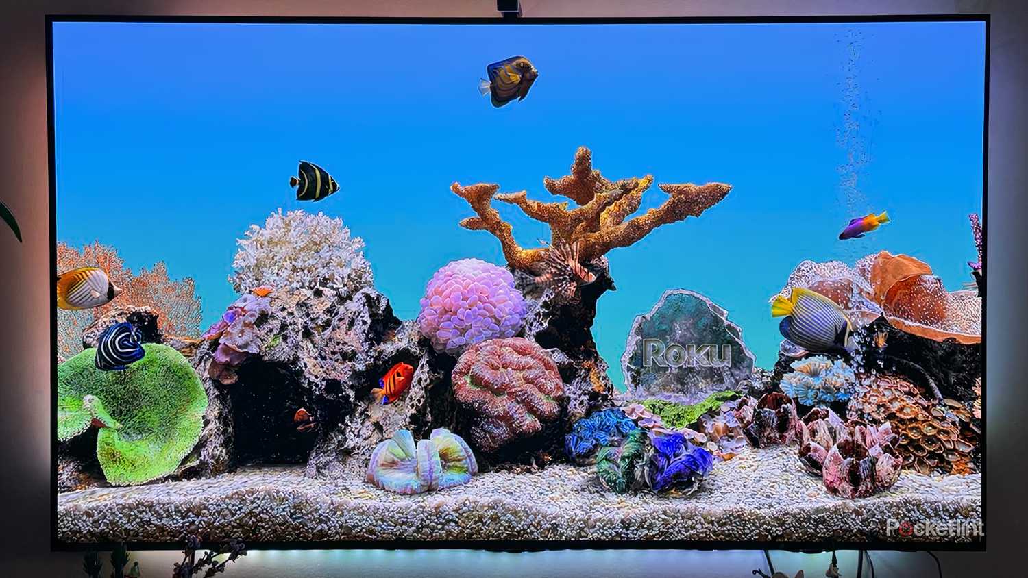 Roku OS Aquarium screensaver.