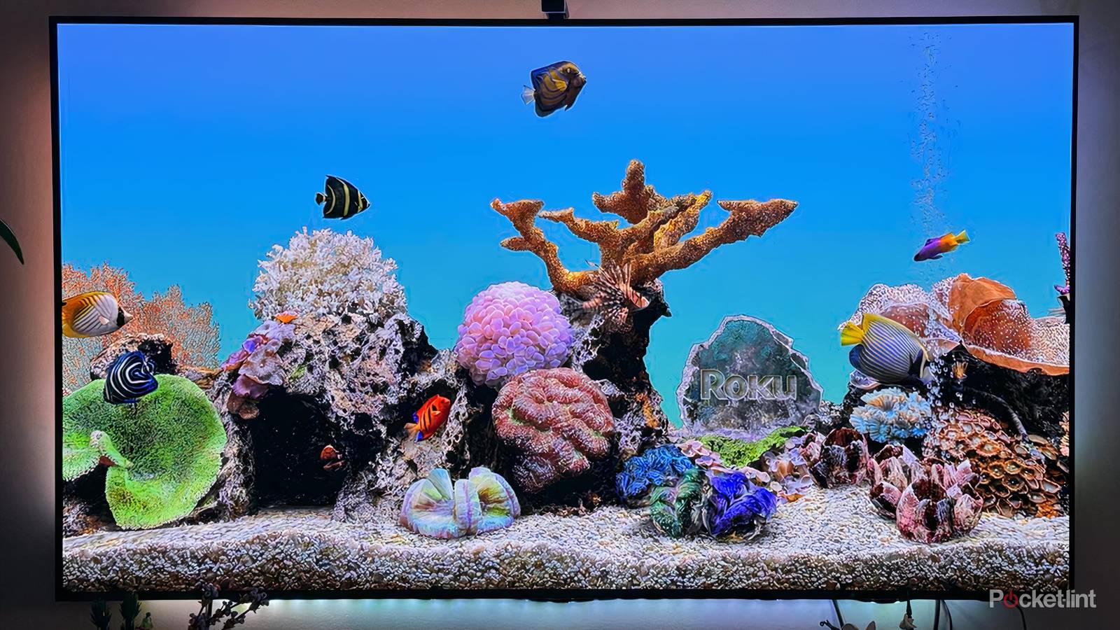 Roku OS Aquarium screensaver.