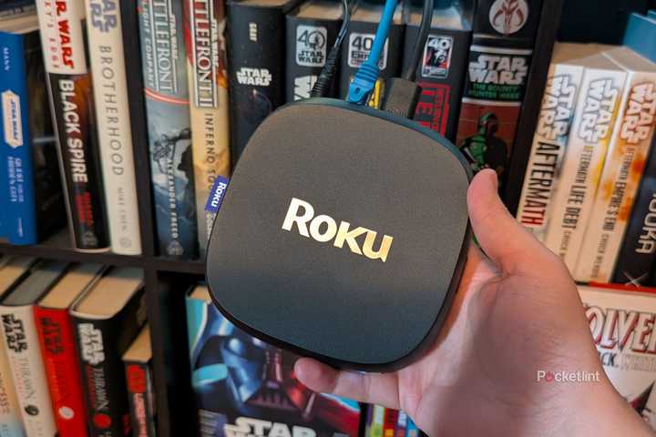 A person holding a Roku Ultra.