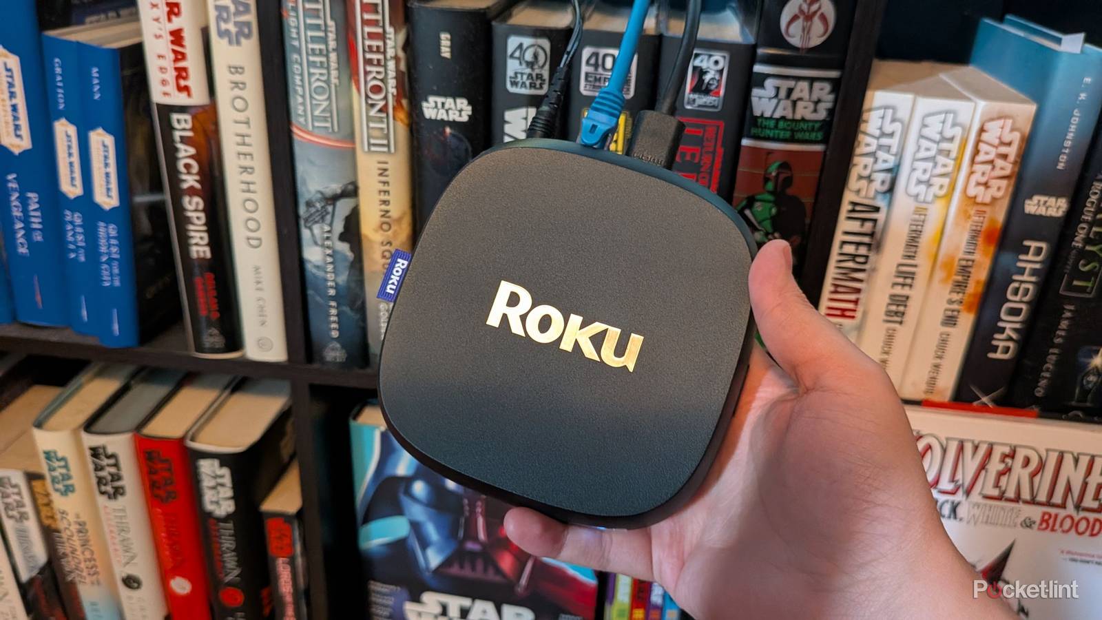 A person holding a Roku Ultra.