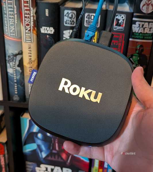 A person holding a Roku Ultra.
