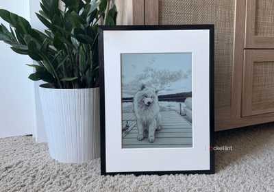 AI pencil-drawn dog on frame. 