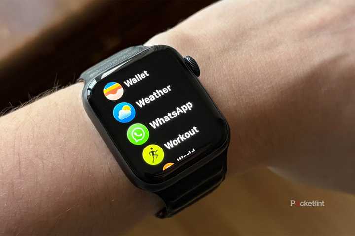 WhatsApp on the Apple Watch 