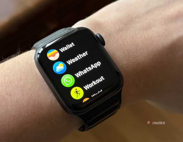 WhatsApp on the Apple Watch 
