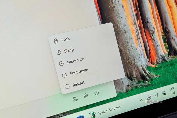 Windows 11 power options
